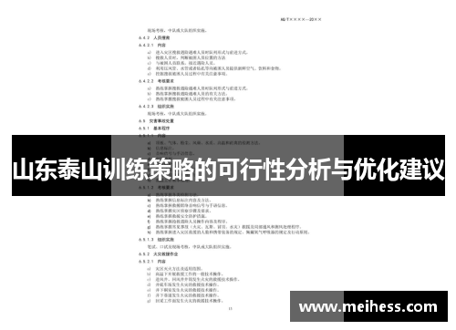 山东泰山训练策略的可行性分析与优化建议