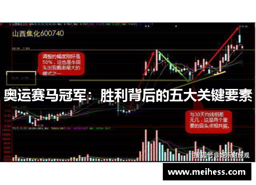 奥运赛马冠军：胜利背后的五大关键要素