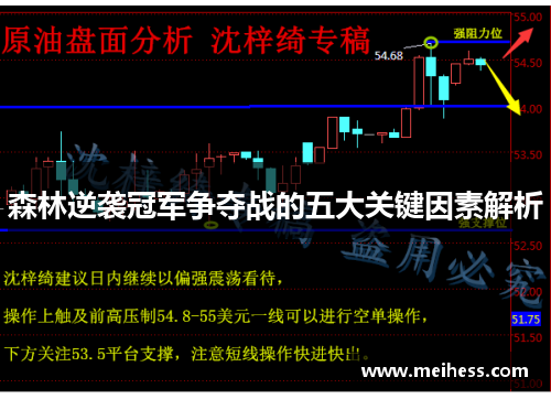 森林逆袭冠军争夺战的五大关键因素解析