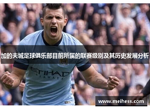 加的夫城足球俱乐部目前所属的联赛级别及其历史发展分析