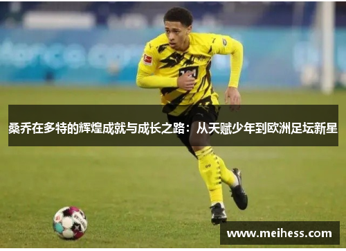 桑乔在多特的辉煌成就与成长之路：从天赋少年到欧洲足坛新星